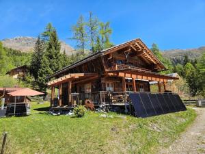Filzfugium im Drautal Berghuette im Drautal